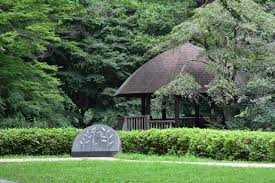 神奈川県立東高根森林公園