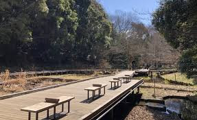 神奈川県立東高根森林公園