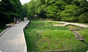 神奈川県立東高根森林公園