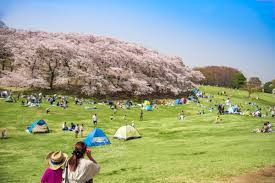 根岸森林公園