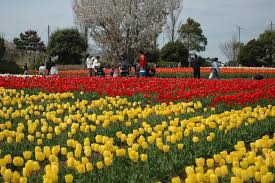 水郷筑波国定公園　浮島園地(和田公園)