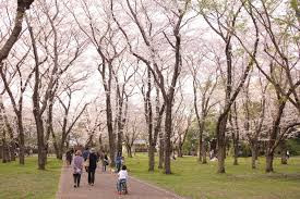 佐倉城址公園