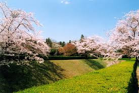 佐倉城址公園