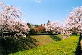 佐倉城址公園