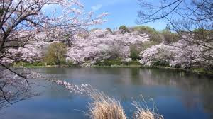 県立三ツ池公園