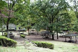 神奈川県立 七沢森林公園 バーベキュー場