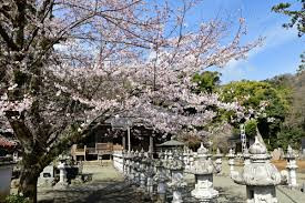 飯山白山森林公園