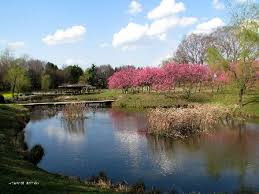 古河公方公園(古河総合公園)