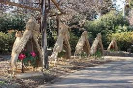 つくば牡丹園