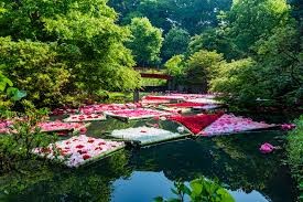 つくば牡丹園