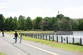 千葉県立柏の葉公園
