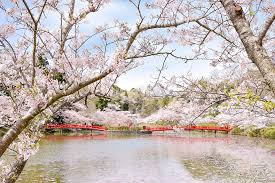 茂原公園