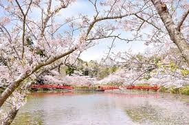 茂原公園
