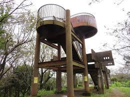 衣笠山公園