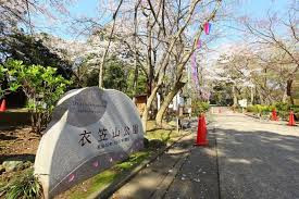 衣笠山公園