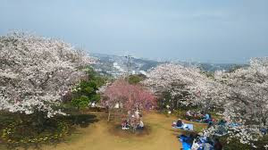 衣笠山公園