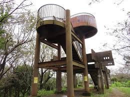 衣笠山公園