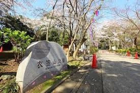 衣笠山公園