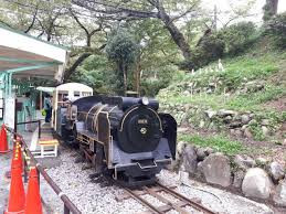 小田原城址公園