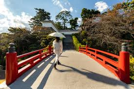 小田原城址公園