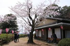 小見川城山公園