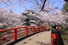 小見川城山公園