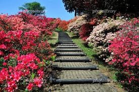 笠間つつじ公園