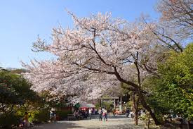 源氏山公園
