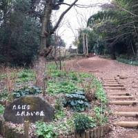 たちばなふれあいの森
