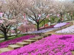 静峰ふるさと公園