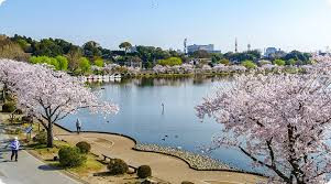 千波公園