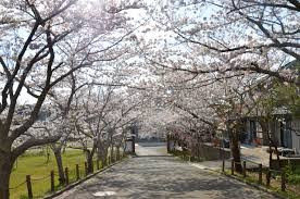 城山公園