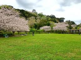 城山公園