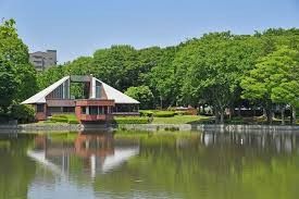 洞峰公園