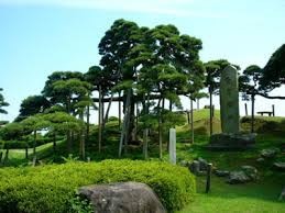 湊公園