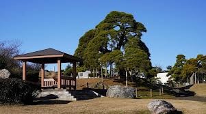 湊公園