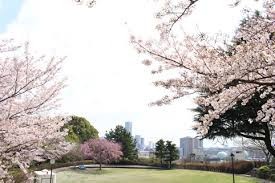 浅間台みはらし公園