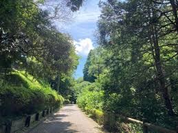 山王台公園