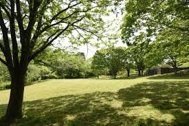 芝山公園