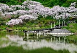 佐久間ダム公園