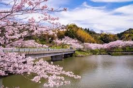 佐久間ダム公園