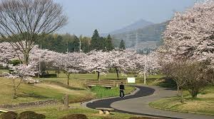柏原池公園