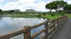 柏原池公園