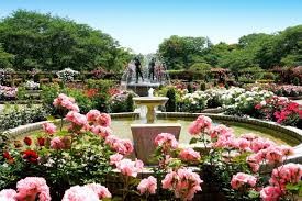 里見公園