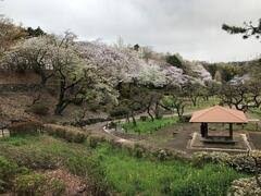 大倉山公園