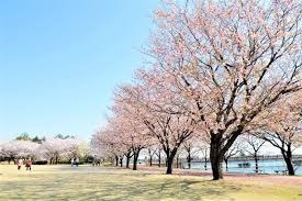 砂沼広域公園