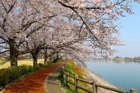 砂沼広域公園
