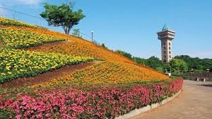 相模原麻溝公園