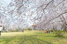 権現山公園