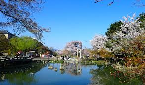 円山公園